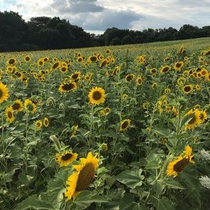 Meet your Posher, Kay